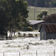 Illustration for article titled Massive spiderwebs engulf Australian town as arachnids escape floods